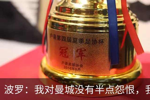 波罗：我对曼城没有半点怨恨，我选择了适合自己的发展道路