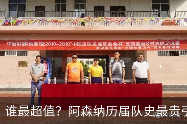 谁最超值？阿森纳历届队史最贵引援实力对比